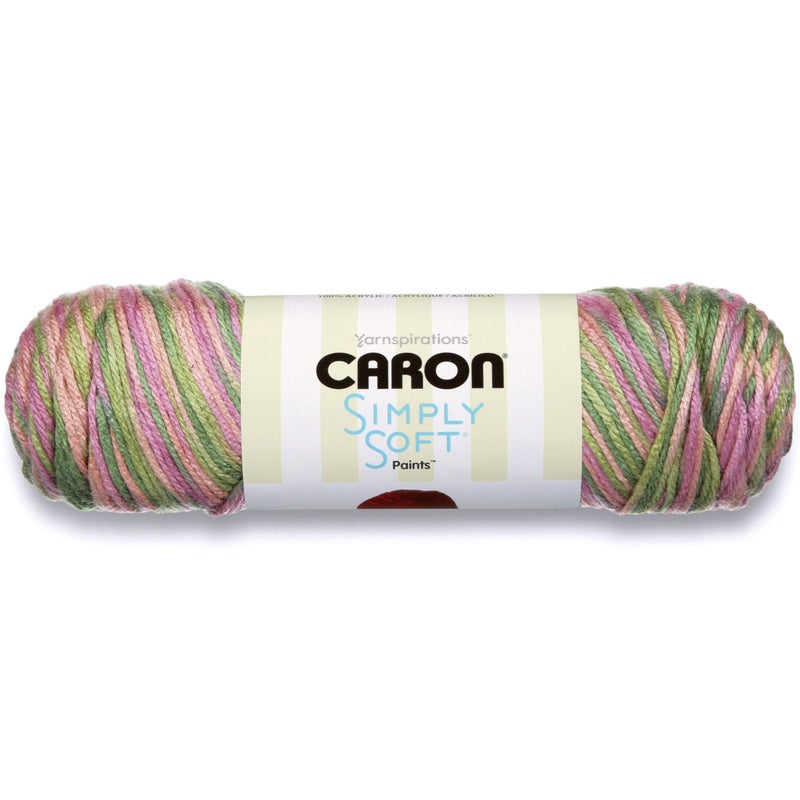Caron Simply Soft Paints Yarn Medium Worsted Gauge 100% Acrylic - 5 oz - Paints Rose Garden - Machine Wash & Dry - Image 1